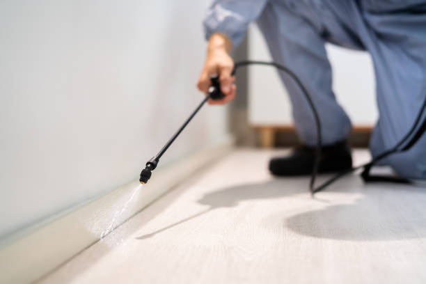Professional exterminator conducting IPM assessment in Polkton
